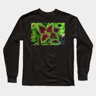 Red and green coleus plant leaves Long Sleeve T-Shirt